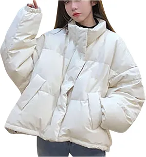 Women's Lightweight Quilted Jackets Oversized Winter Coats Stand Collar Thicken Puffer Jackets Warm Down Coats Parkas